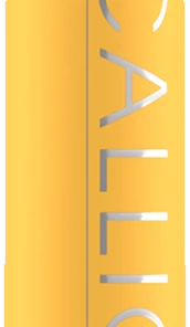 Catrice Calligraph Artist Matte Liner 040